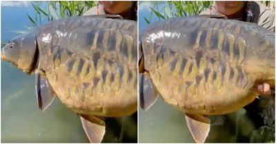 Video: Cần thủ chụp ảnh với cá chép ‘khủng’, vì sao dân mạng xem xong khuyên anh thả đi?