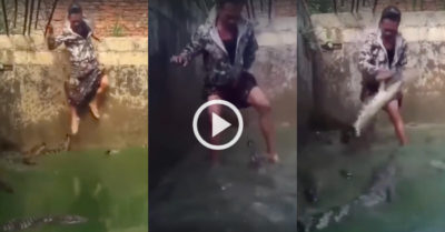 Video: Nam thanh niên nhảy xuống ao tách đàn cá sấu, không chút sợ hãi nào
