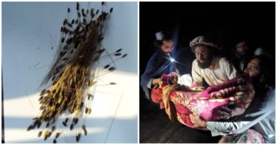 Cập nhật tối 22/6: Lúa ma bùng phát ở Hà Nam; Động đất ở Afghanistan, ít nhất 1.000 người chết