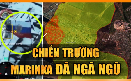 Tiết lộ ‘Nga - Ukraine hòa đàm bí mật’, Zelensky hoảng sợ khi Budanov và Zaluzhny từ chức